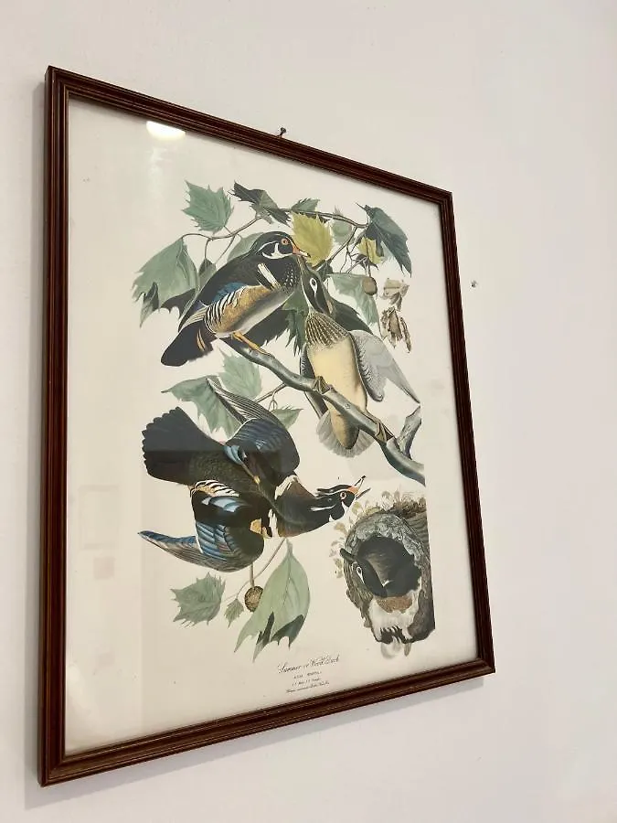 סיינה Piccolo Hotel Etruria
